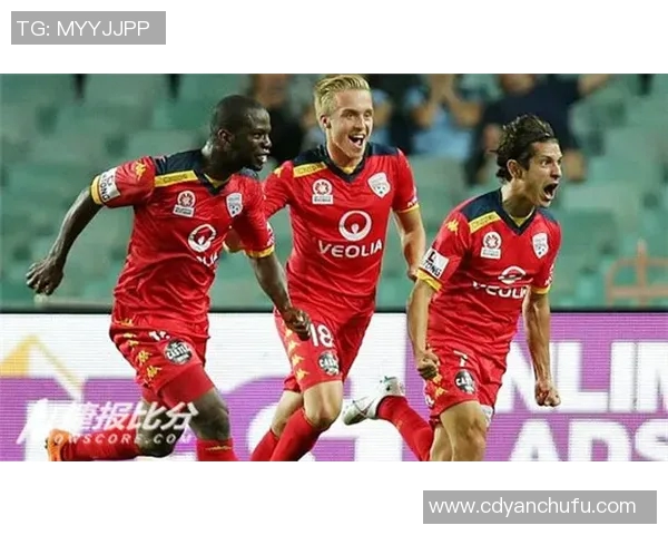 惠灵顿凤凰对阵墨尔本胜利赛事分析及推荐建议