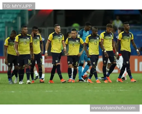 智利与厄瓜多尔世预赛激战在即球迷期待精彩对决